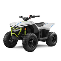Vaikiškas elektrinis keturratis CFMOTO CFORCE EV110