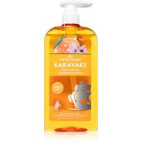 PAPOUTSANIS Karavaki Shine & Vitality šampūnas plaukų blizgesiui ir švelnumui užtikrinti 600 ml