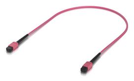 Ubiquiti Indoor OM4 multi-mode fiber  patch cable with MPO-12 Type