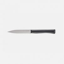 Pjaustymo peilis Opinel Intempora N°226 (10 cm)