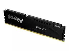Kingston 16GB 5600MHz CL36 DDR5 Fury Beast (1x16) operatyvioji atmintis