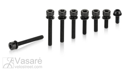 XLC Varžtas suportui Flat mount M5x39mm, 2vnt.