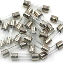 Stiklinis saugiklis - 1A - vamzdinis - saugiklis - 10 vnt