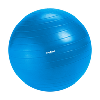 Reabilitacinis gimnastikos kamuolys 55 cm su rankine pompa, mėlynas, REBEL ACTIVE