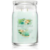 Yankee Candle Aloe & Agave kvapioji žvakė 567 g