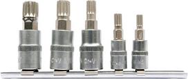 Įpresuotų antgalių rinkinys Spline 1/4" 3/8" M5-M12 Yato (YT-04360), 5 vnt.