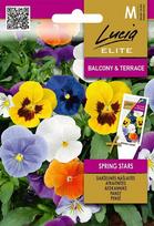 Našlaitės Lucia Elite Spring Stars