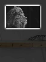 SHINING LED sienos dekoracija, 45x70 cm