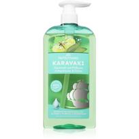 PAPOUTSANIS Karavaki Control & Detox šampūnas riebiai ir sausai galvos odai 600 ml
