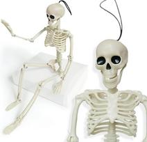 Pakabinama Helovino dekoracija Skeletas, balta