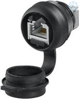 IE-FCM-RJ45-C-X-100 2742310000 | 4050118844511