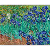 Reprodukcija „Irisai“, Vincent van Gogh (1889)