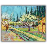 Reprodukcija „Sodas apjuostas kiparisų“, Vincent van Gogh (1888)
