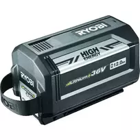 Akumuliatorius RYOBI MAX POWER RY36B60B, 36 V, 12 Ah