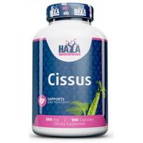 Haya Labs Cissus 500 mg. - 100 cap