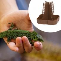 Barzdotasis drakonas lesintuvas chameleon maitinimo dubenėlis lipama konstrukcija maisto lėkštė raguotajai varlei gekonui ruda