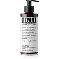 STMNT Care Shampoo valomasis šampūnas vyrams 300 ml