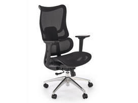 Ergonominė darbo kėdė CASPER