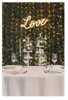 Party Deco LED eukalipto girlianda 2 m