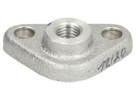 Pavarų dėžės guolio korpusas 1316321004ZF