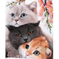 Tapyba pagal skaicius TM Varvikas Three Kittens MG2431e 40x50 cm