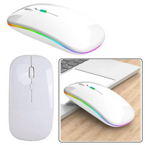 Belaidė ergonominė balta pelė