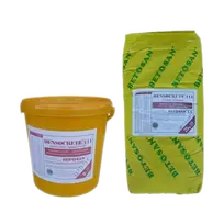 DENSOCRETE 111 Antikorozinė sukibimą stiprinanti medžiaga 2,5kg + 0,8L