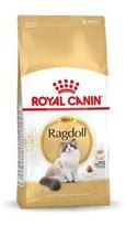 Royal Canin FBN Ragdoll Adult sausas kačių maistas 2 kg