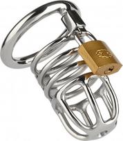 Penio narvas Mr. Steel Master Chastity Cock Cage, sidabrinis