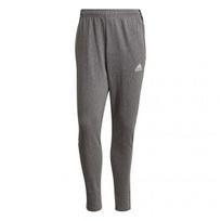 Sportinės kelnės vyrams Adidas Tiro 21 Sweat M GP8802 77810