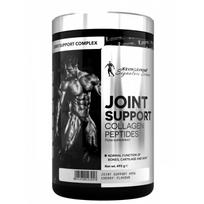 Kevin Levrone Joint Support 495g