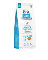 Brit Care Grain Free Junior Large Breed Salmon sausas maistas šunims : Pakuotė - 3 kg