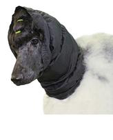 Show Tech Snood raištis ausims apsaugoti, juodas, S