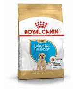 Royal Canin Labrador Retriever Puppy sausas maistas šunims : Pakuotė - 3 kg