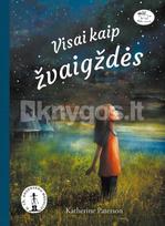 VISAI KAIP ŽVAIGŽDĖS. Pasakojimas apie stiprybę, rūpestį ir gebėjimą atrasti gražius dalykus net ir tomis aplinkybėmis, kai, regis, viskas slysta iš rankų - Katherine Paterson