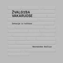 Audio Žvalgyba Vakaruose. Istorija ir kultūra - Bernardas Gailius