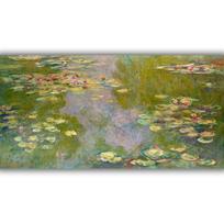 Reprodukcija „Vandens lelijos“, Claude Monet (1919)
