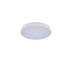 Rabalux 71427 - LED lubinis vonios šviestuvas ALENZO LED/24W/230V IP44 balta