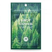 Spot Cover Patch Pleistriukai nuo spuogų 22 vnt.