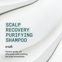 Purifying Shampoo Šampūnas pleiskanotai galvos odai 1000ml