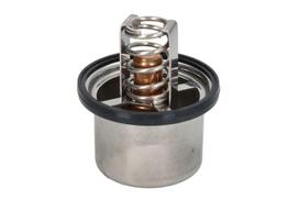 Aušinimo skysčio termostatas DT SPARE PARTS 5.41096
