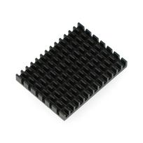 Radiatorius 40x30x5mm skirtas Raspberry Pi 4 su termolaidžia juosta - juodas