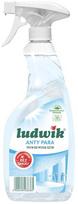 Ludwik langų valiklis Anti-Fog, 600 ml