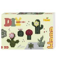 HAMA Art Rinkinys „Sukulentai“