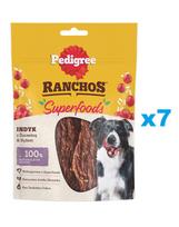PEDIGREE Ranchos Superfoods 7x70 g papildomas ėdalas suaugusiems šunims su kalakutiena, spanguolėmis ir ryžiais