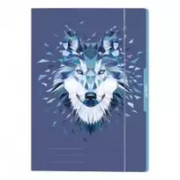 Aplankas A4 kartoninis su guma WOLF 50027972 HERLITZ, D01-224