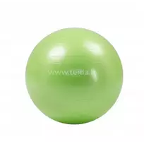 Gymnic Plus kamuolys 65 žalias