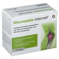 INTERCELL PHARMA Gliukozaminas Intercell (120 kapsulių)