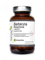 KENAY Berberino fitosomas su berbeliu (60 kapsulių)