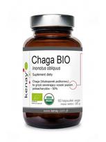 KENAY EKO Chaga (60 kapsulių)